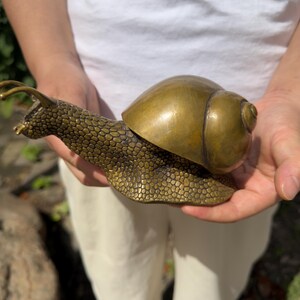 May include: A brass snail figurine featuring a highly textured, pebbled body and a smooth, polished, rounded shell. The metallic sculpture displays a warm, golden-brown patina with intricate detailing on the head, tentacles, and foot.