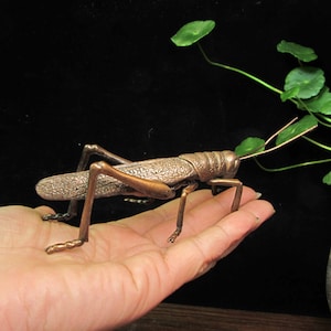Puede incluir: Una escultura de saltamontes de bronce con textura detallada, sostenida en una mano. El insecto tiene patas y antenas largas, con un fondo oscuro y follaje verde en la esquina superior derecha. Es un objeto decorativo.