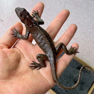 Collect Lifelike copper lizard figurine table decoration ornament,Copper Art Animal Decoration,Collectible Home Animal statue,Feng Shui luck