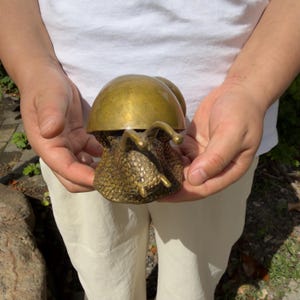 May include: A brass snail figurine featuring a smooth, polished, dome-shaped shell and a textured, bumpy body. The snail has two prominent eye stalks extending forward from its head, with a metallic gold finish throughout the entire object.