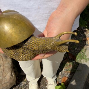 May include: A brass snail figurine featuring a smooth, polished, rounded shell and a textured, bumpy body surface. The snail has two prominent, elongated eye stalks extending from its head, with a metallic gold finish throughout the entire piece.
