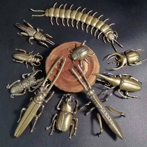 May include: A collection of brass insect figurines, including beetles and a centipede, arranged on a dark surface. The detailed sculptures vary in size and shape, showcasing intricate designs and textures. A wooden slice is in the center.