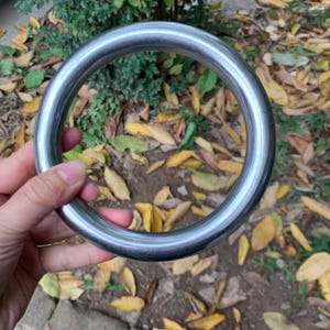 May include: A shiny, silver metal ring held in a hand. The ring is thick and circular, with a smooth, polished surface. The background features fallen leaves and greenery.