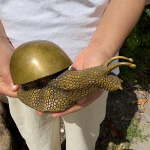 May include: A brass snail figurine featuring a smooth, rounded, polished shell and a textured, bumpy body with two extended eye stalks. The metal has a warm, golden-brown patina with visible variations in tone across the surface of the sculpture.