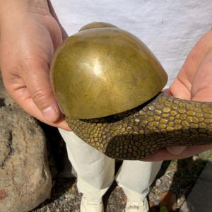May include: A brass snail figurine featuring a smooth, polished, dome-shaped shell and a textured, pebbled body surface. The metal object displays a warm, golden-brown patina with distinct contrast between the reflective shell and the detailed skin.
