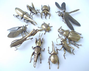 May include: A collection of brass insect figurines, including a dragonfly, beetles, and grasshoppers, arranged on a white surface. The detailed sculptures showcase various insect species, perfect for collectors or decorative use.