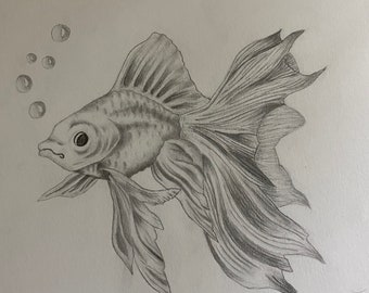 Learn How to Draw a Gold Fish (Fishes) Step by Step : Drawing Tutorials