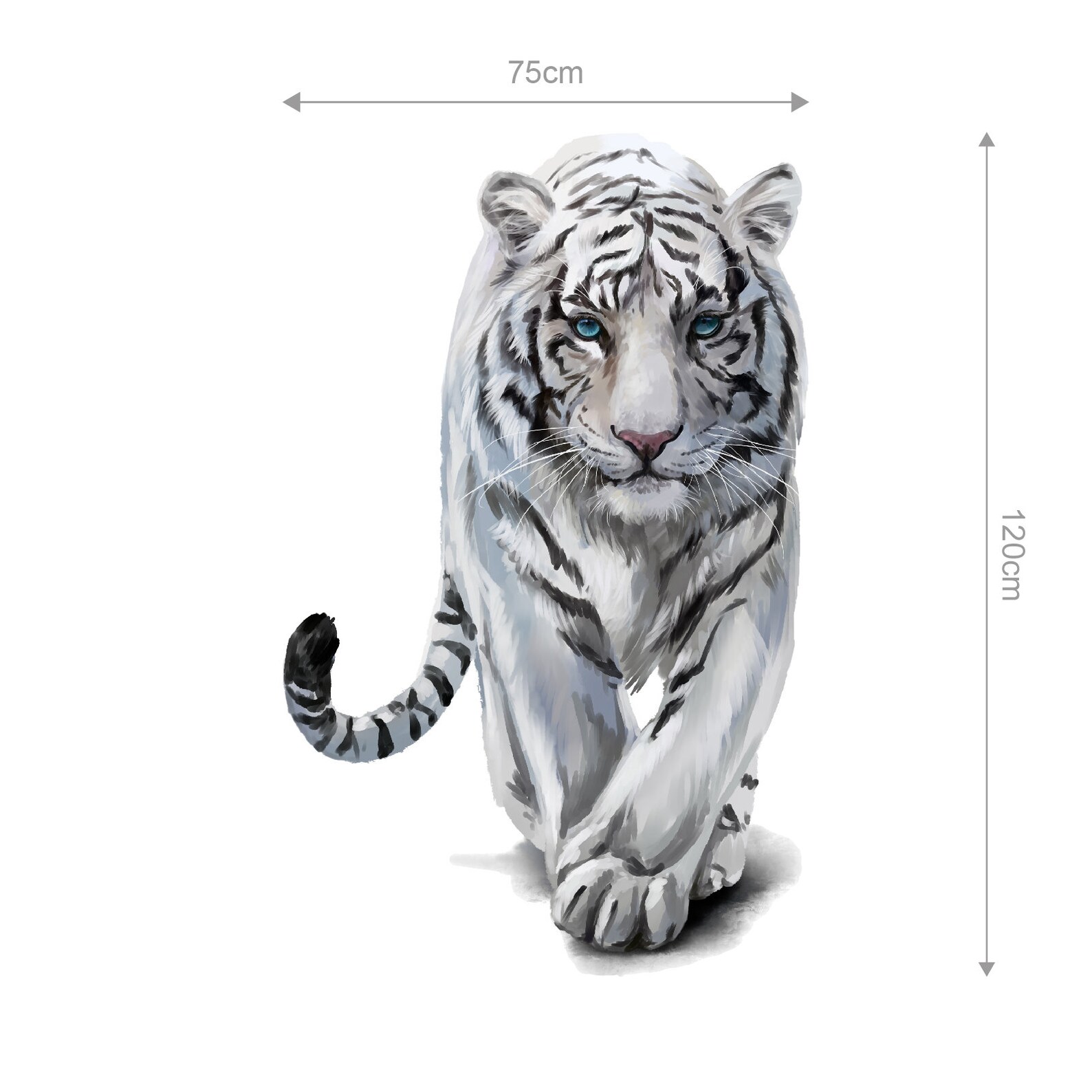Big Wild White Tiger Colour. Wall Art Sticker Vinyl Transfer Etsy