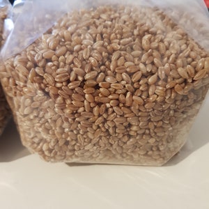 2 liter steriliserad ekologisk rågpåse med självläkande injektionsport