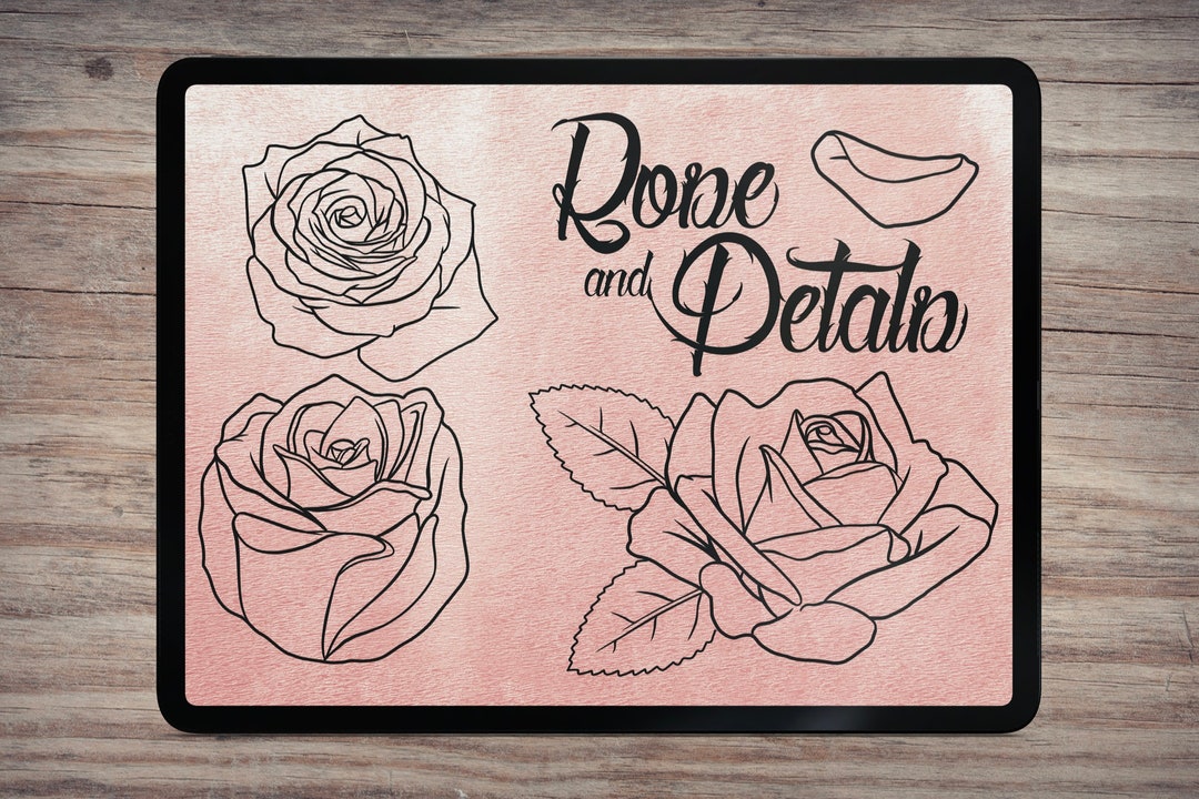 Rose and Petals: Procreate Brushes Stamps - Etsy