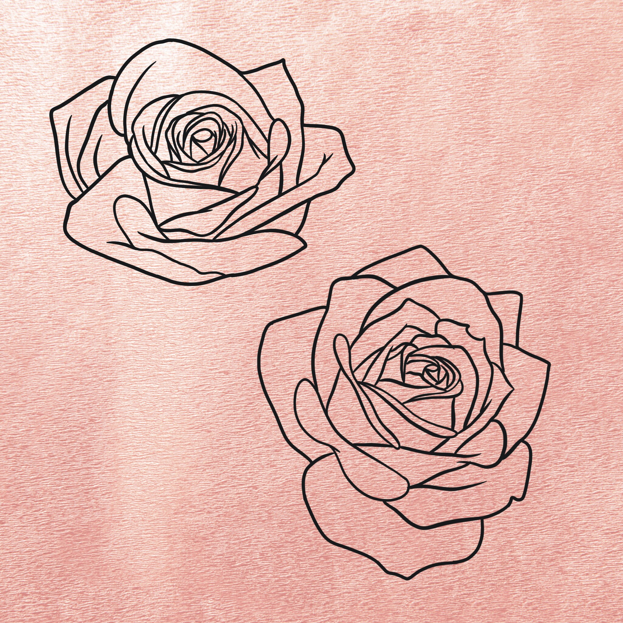 Rose and Petals: Procreate Brushes Stamps - Etsy