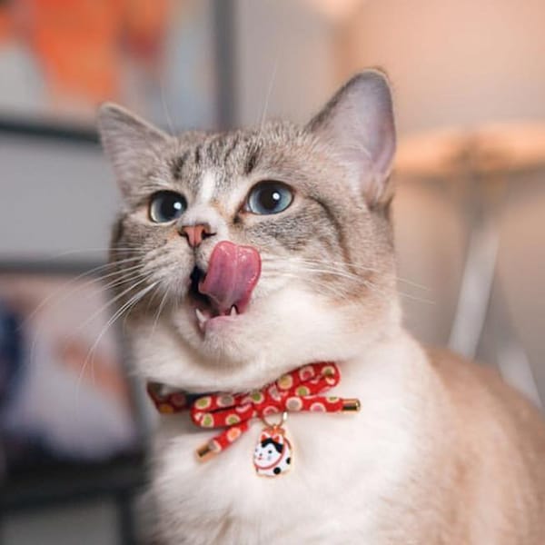 PetSoKoo Lovely Bowknot Cat Collar With Bell. Japon Tissu en crêpe à pois colorés - Charme 'Hariko Cat' chanceux. Évasion de sécurité, doux