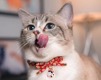 Handmade Polka Dot Cat Collar: Crepe Fabric Bowknot with Hariko Cat Charm