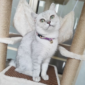 May include: A white cat with green eyes sits on a cat tree. The cat is wearing a purple and white patterned collar with a gold bell.