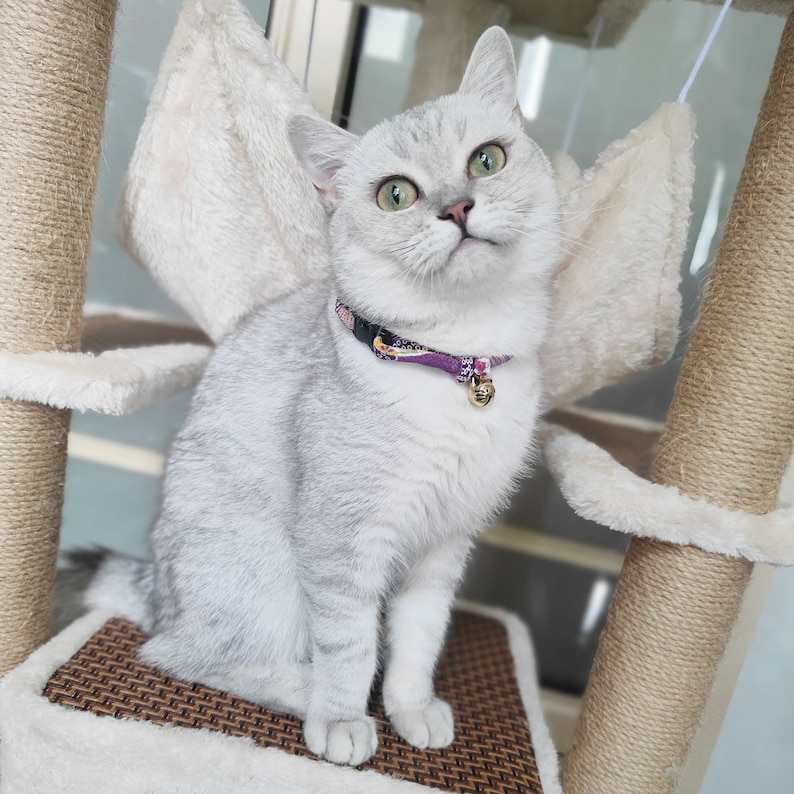 May include: A white cat with green eyes sits on a cat tree. The cat is wearing a purple and white patterned collar with a gold bell.