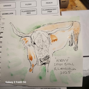 Pièce originale du « taureau irlandais » de Belfast, aquarelle, encre, artiste local, matériaux de haute qualité, peinture, oeuvre d'art, carte postale. sans cadre