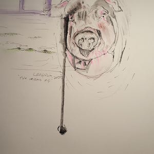 Pièce originale de Belfast « Le cochon qui pleure » aquarelle, encre, artiste local, matériaux de haute qualité, peinture, oeuvre d'art, carte postale. sans cadre.