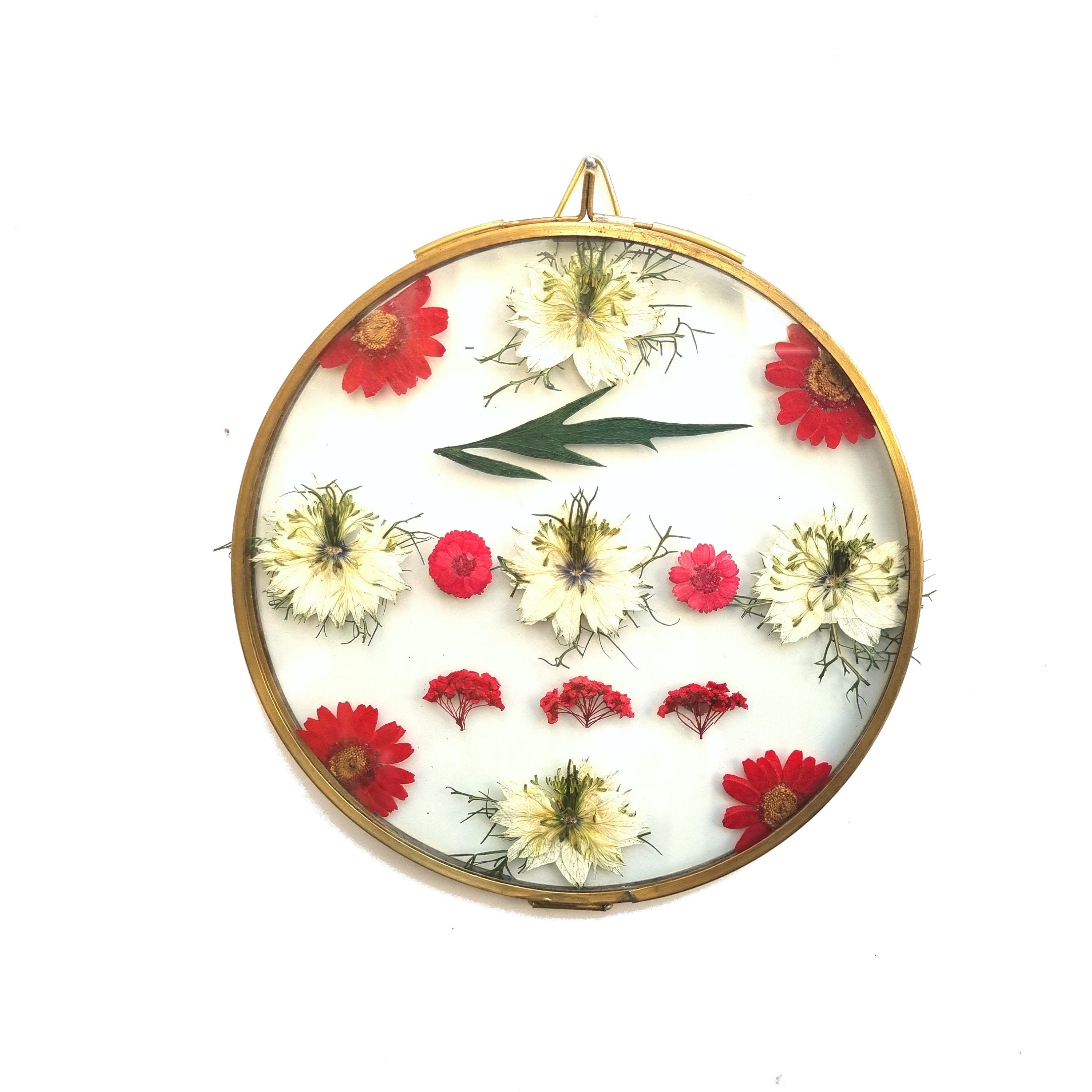 Delphinium Medaillon - Ø16 cm Cadeau Décoration Murale Intérieur Art Décoratif A Suspendre Pièce Uni