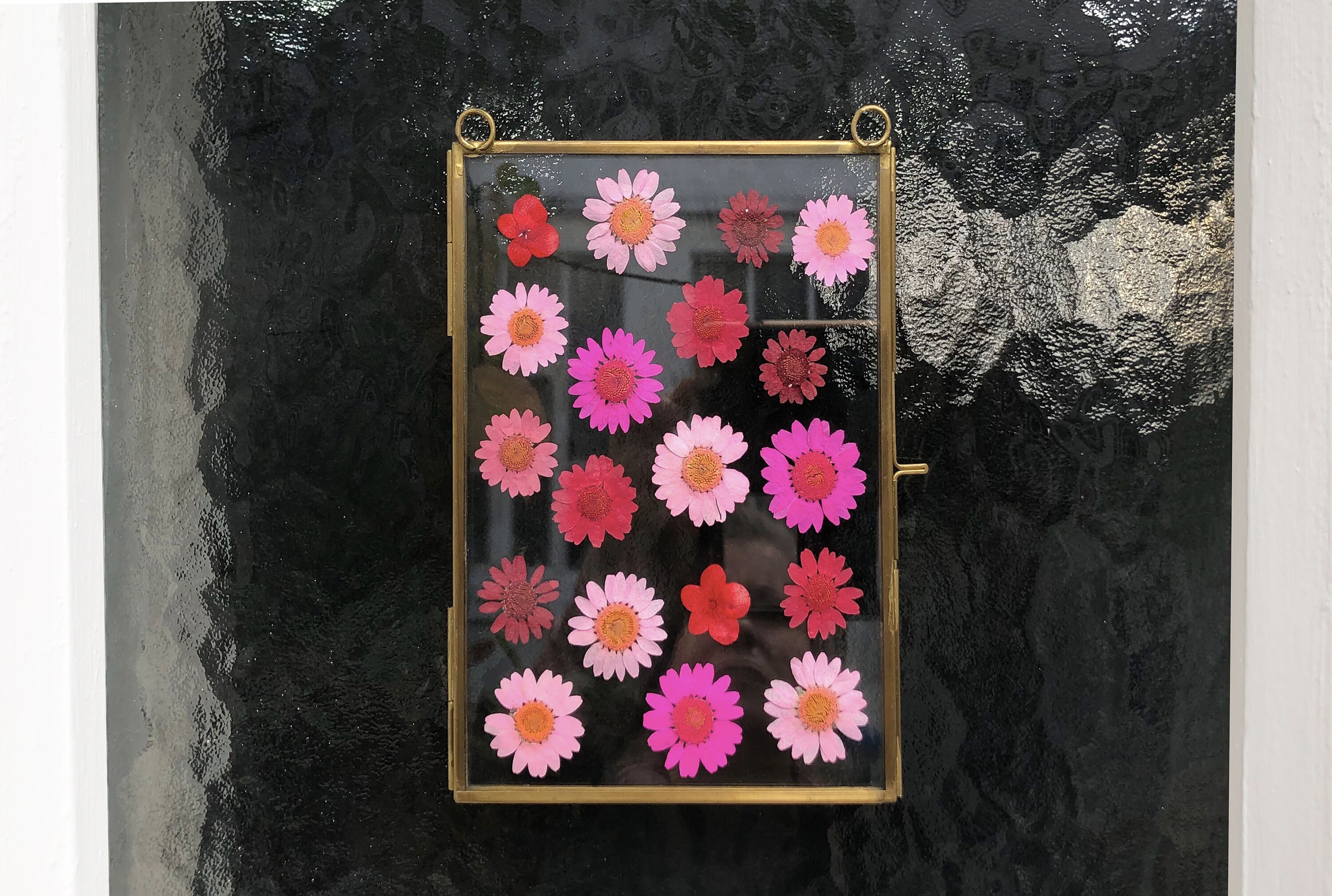 Wise Pink Medaillon - 21 X 15, 5 cm Cadeau Décoration Murale Intérieur Art Décoratif Pièce Unique No