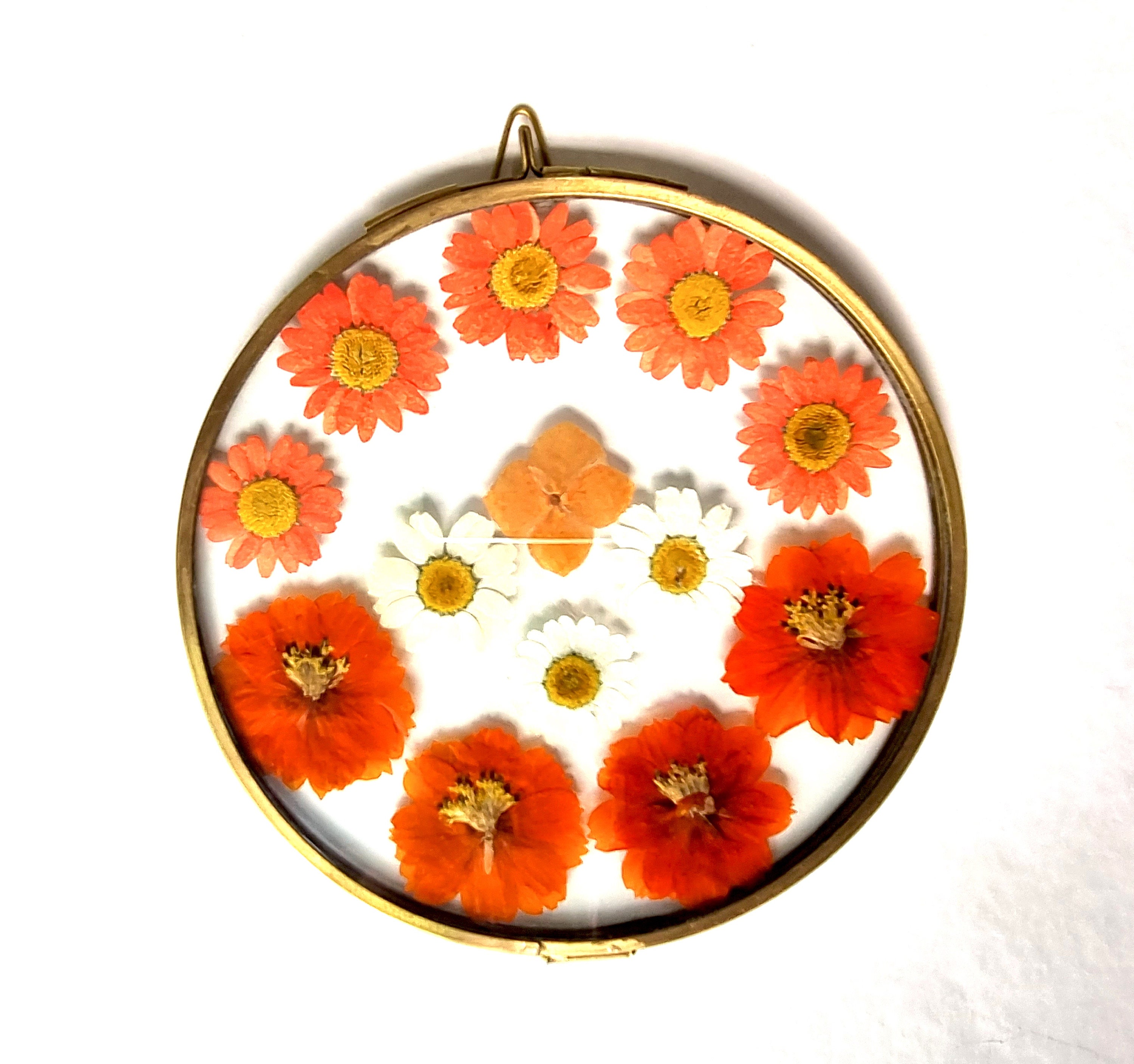 Orange Cosmos Medaillon - Cadeau Décoration Murale Intérieur Art Décoratif A Suspendre Pièce Unique