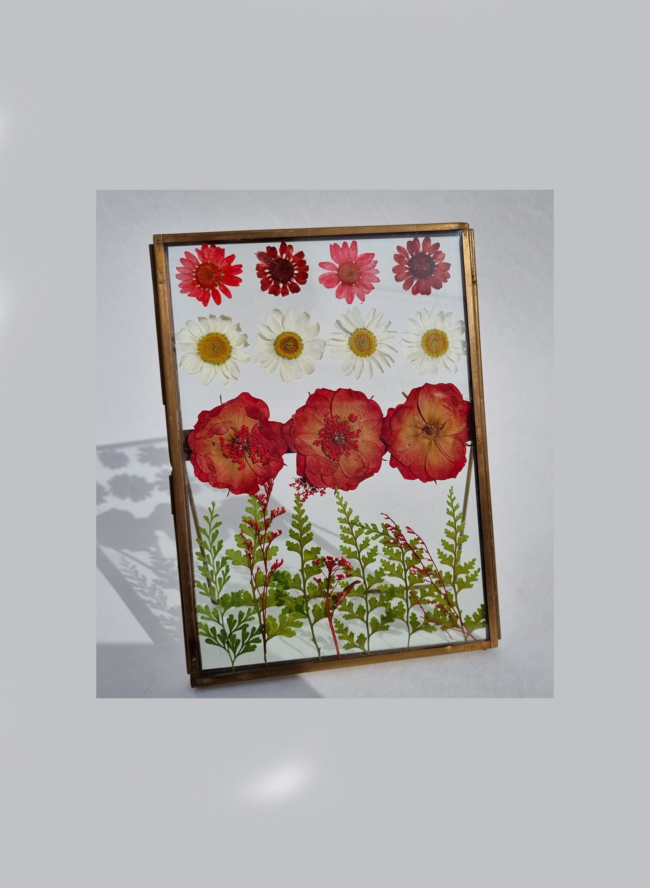 Red Flowery Herbier de Fleurs Pressées - Cadeau Décoration Intérieur Art Décoratif à Poser Pièce Uni