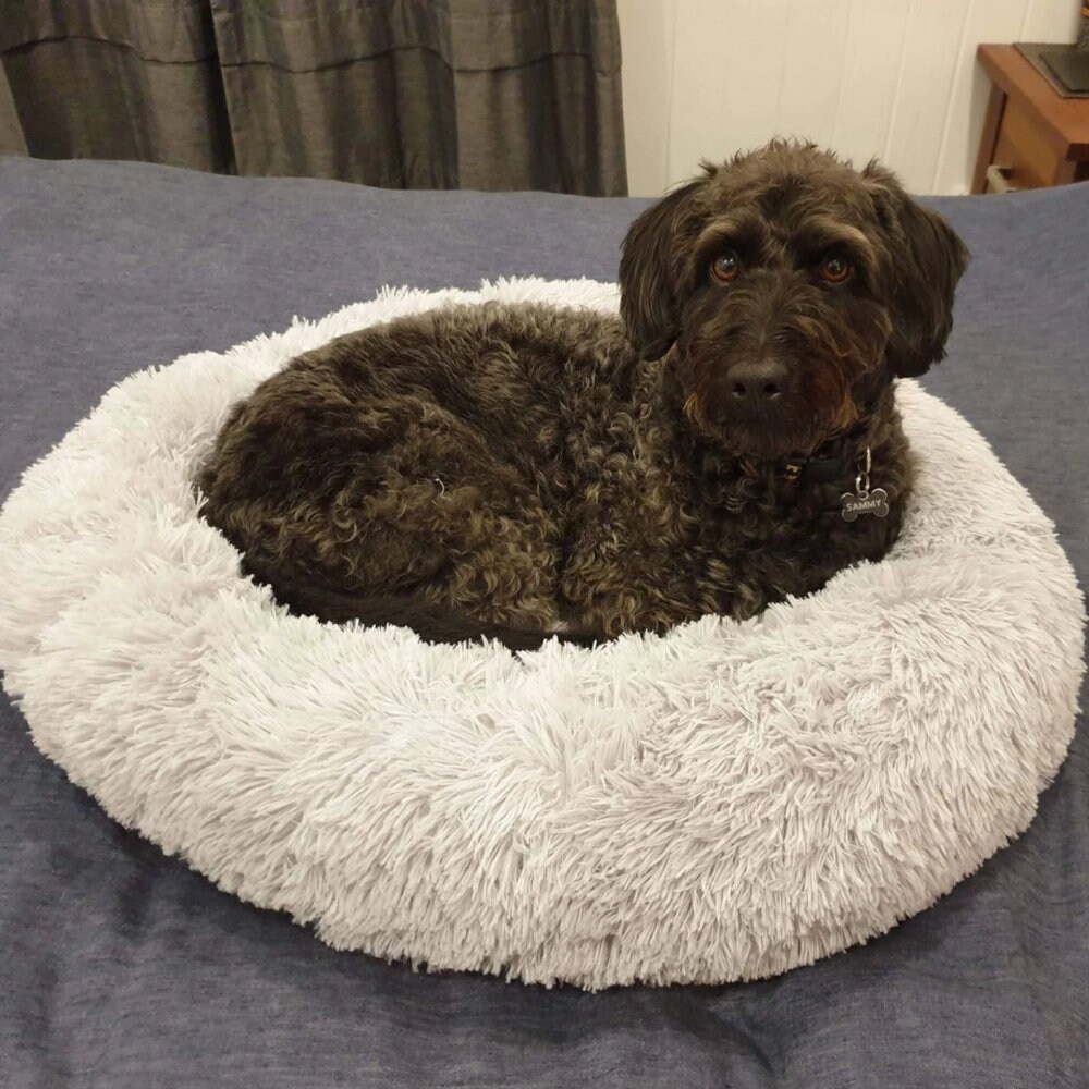Fluffy Calming Dog Bed Washable Dog Bed Dog Gift Donut Dog Etsy
