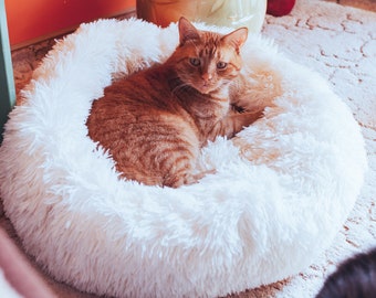 extra large cat beds