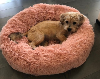 fluffy beds for dogs
