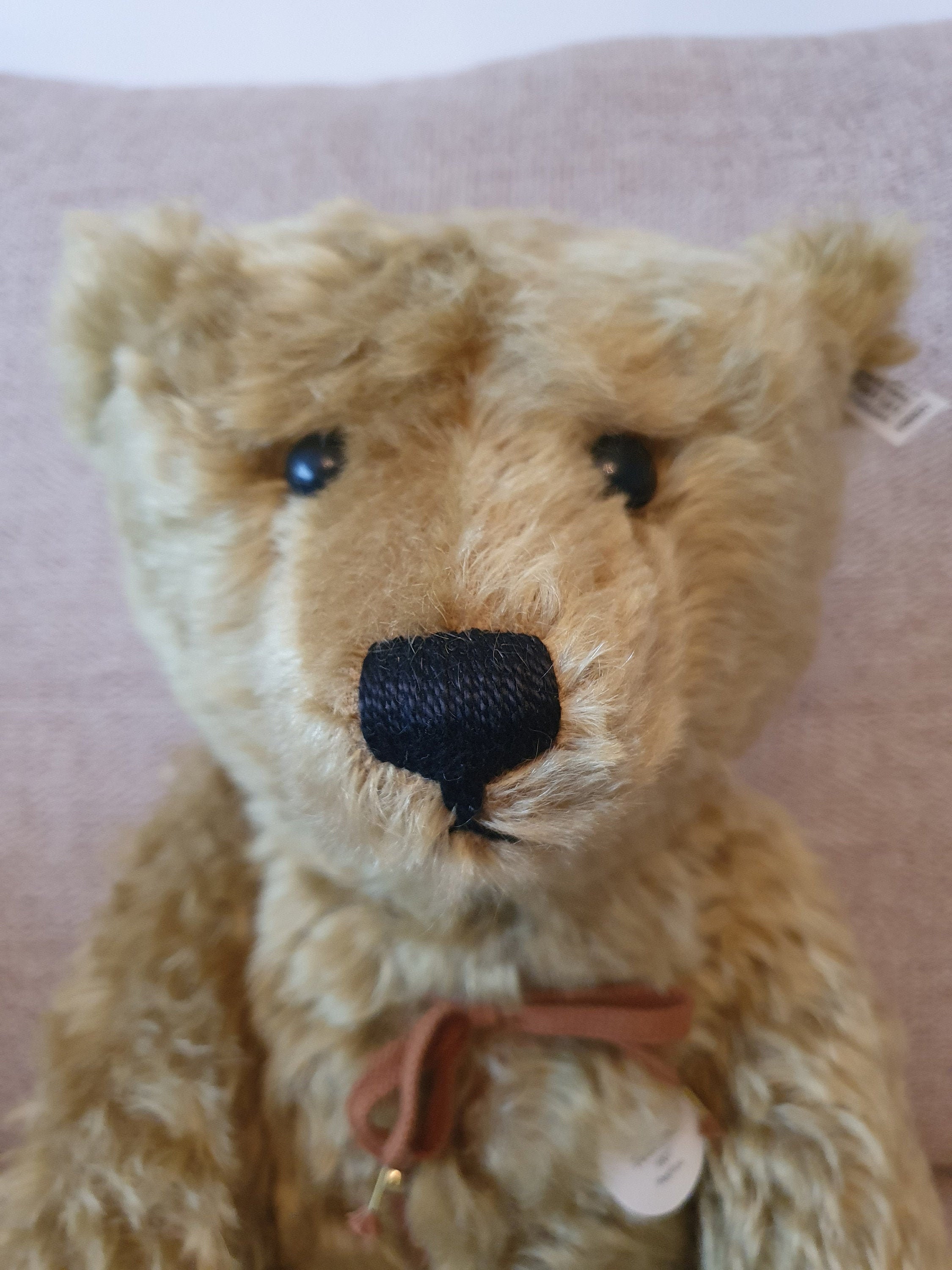 Rare Steiff Bears - Etsy