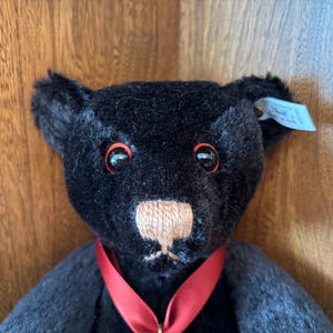 Steiff titanic bear - Etsy 日本