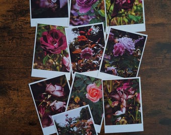 Purple Tones - Dark Botanical Rose Gardens - Set of 10 photography prints.