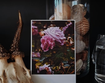 Purple / 06 - Dark Botanical Rose Gardens | Single Photography Print | 4x6".