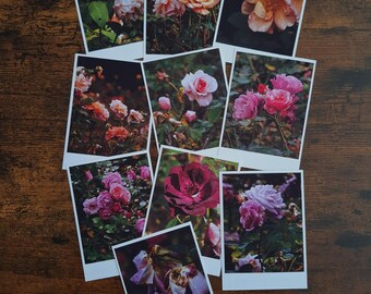 Mixed Tones - Dark Botanical Rose Gardens - Set of 10 photography prints.