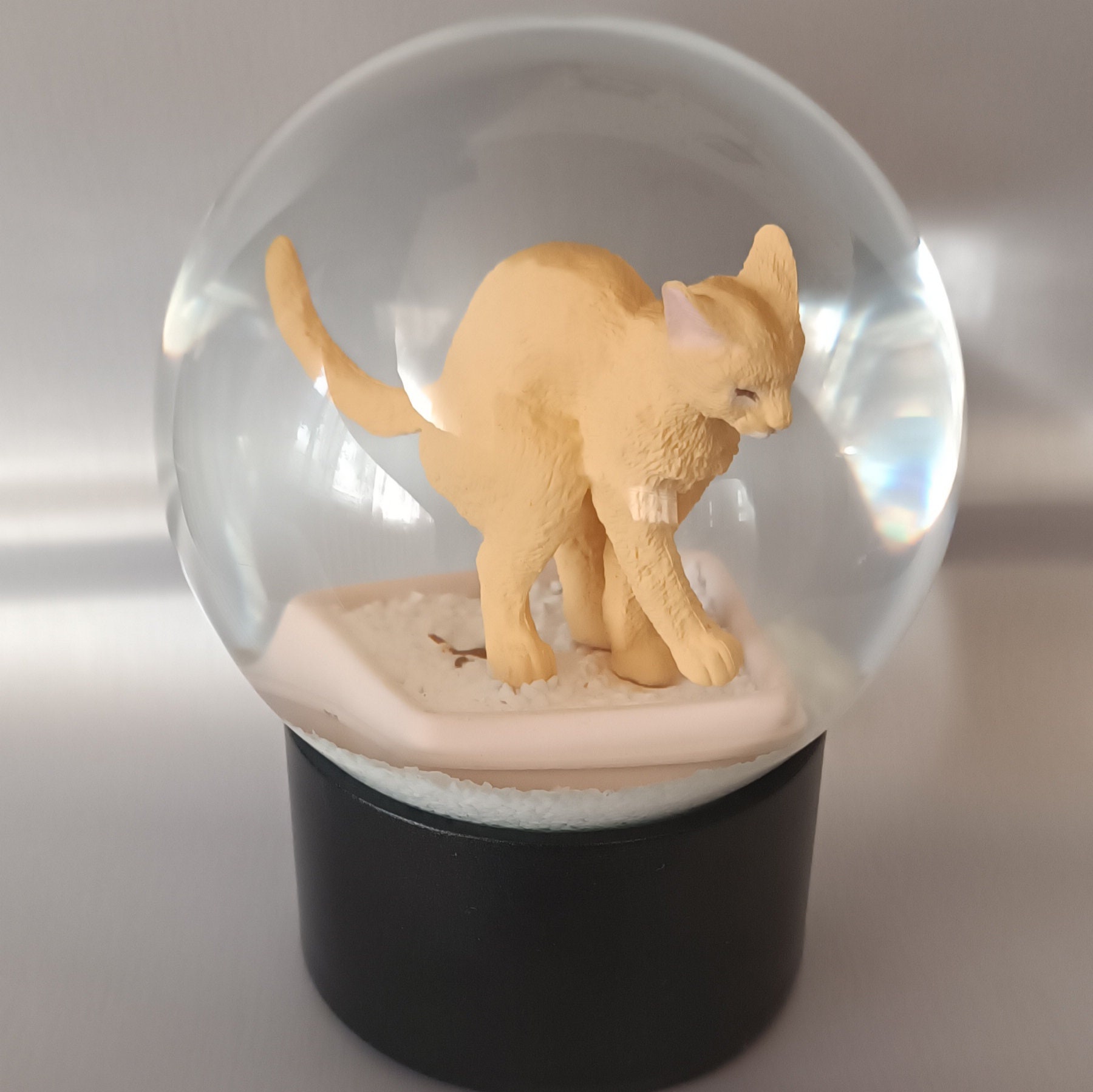 Cat in litter box snow globe, from Ukraine