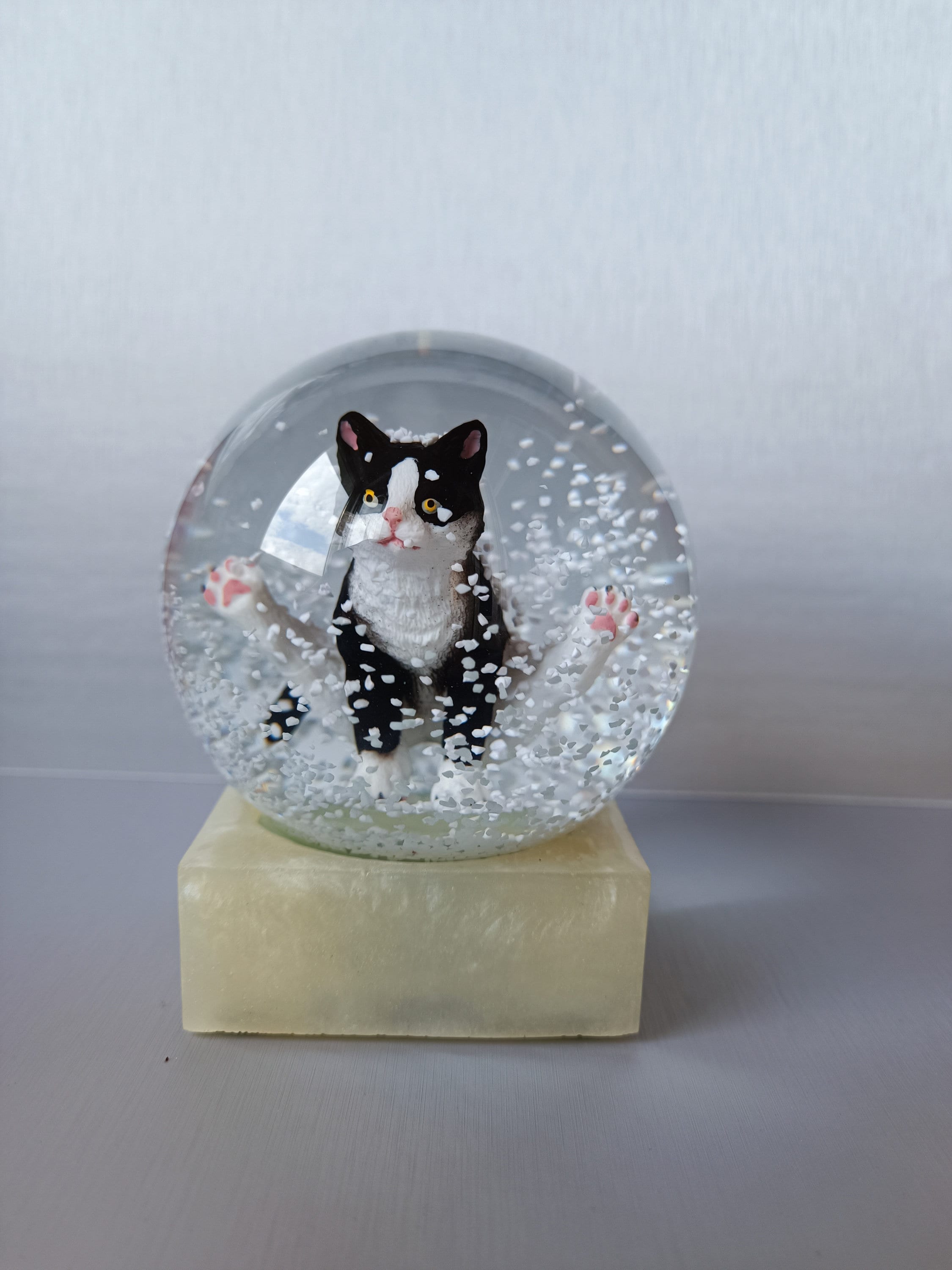 COOLGLOBES スノードーム Cat on Book 気泡あり Cat on Books Snow Globe – Unforgettable Engraved Gifts