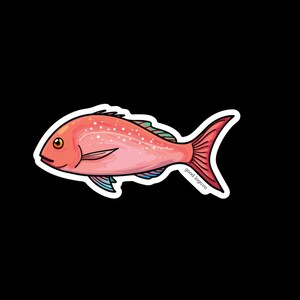 Snapper Fish Sticker: New Zealand Marine Art, Waterproof Vinyl