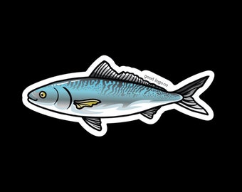 The Kahawai (Australian Salmon) Sticker, New Zealand Sticker, NZ Sticker