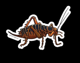 Wētā Sticker, New Zealand Bug, Waterproof
