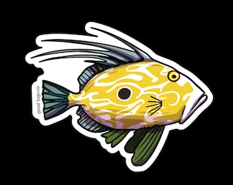 John Dory Fish Sticker: Waterproof New Zealand Art