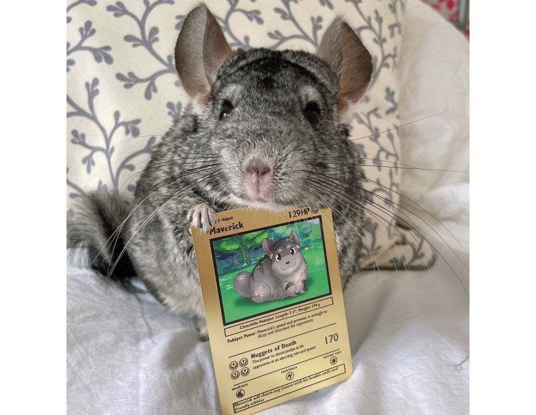 Custom Pokemon Card Custom Metal Pokemon Cards Custom Pet Portrait custom-pokemon-card-custom-metal-pokemon-cards-custom-pet-portrait