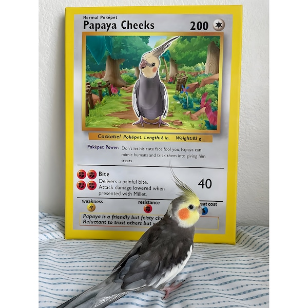 Tarjeta Pokemon personalizada, tarjetas Pokemon personalizadas para mascotas, tarjetas Pokemon para mascotas de metal personalizadas, regalo de tarjetas conmemorativas de retratos de mascotas, regalo para él