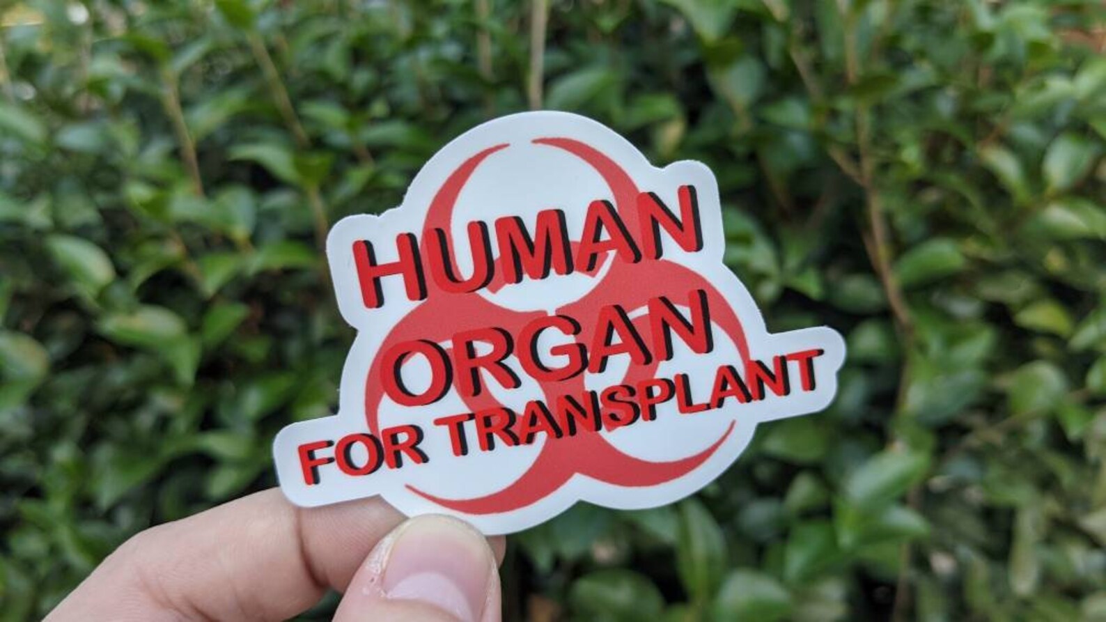 Human Organ Transplant Sticker | Etsy