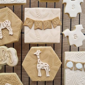 10 Safari babyshowerkoekjes Babyshowerfondantkoekjes gepersonaliseerd