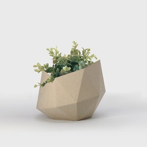 May include: A geometric planter made of brown paper mache with a leafy green plant inside.