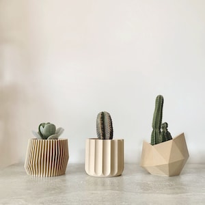 Set of 3 small wood 3D printed planters pots l minimal, authentic, modern and trendy - 8.5cm diameter