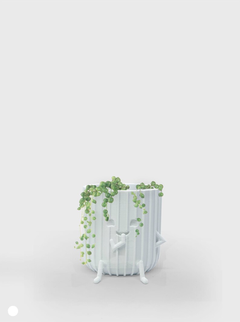 Indoor Planters Cute Planters Cute Pots 3D Printed Planter Etsy Australia