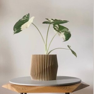 May include: A variegated houseplant with white and green leaves in a light brown, ribbed ceramic planter. The planter is sitting on a wooden table with a gray top.