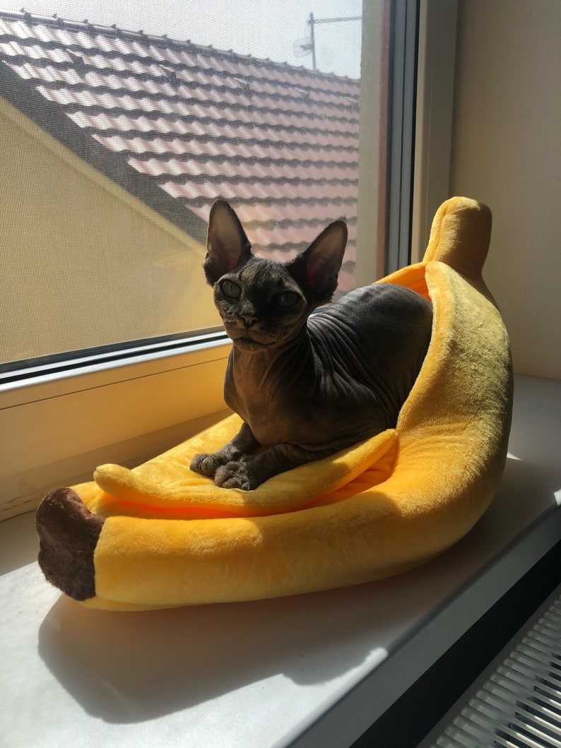 Cute Banana Cat Bed Funny Banana Cat House Cute Cozy Cat Mat Etsy