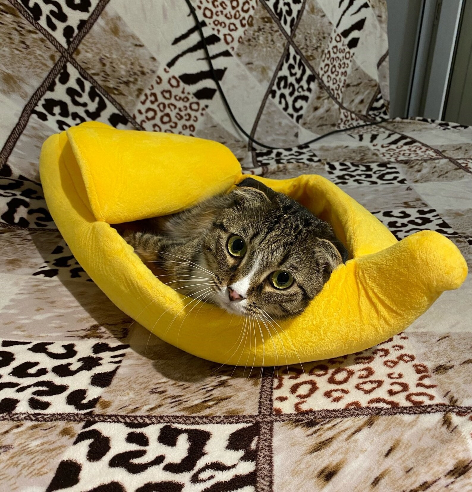 Cute Banana Cat Bed Funny Banana Cat House Cute Cozy Cat Mat Etsy
