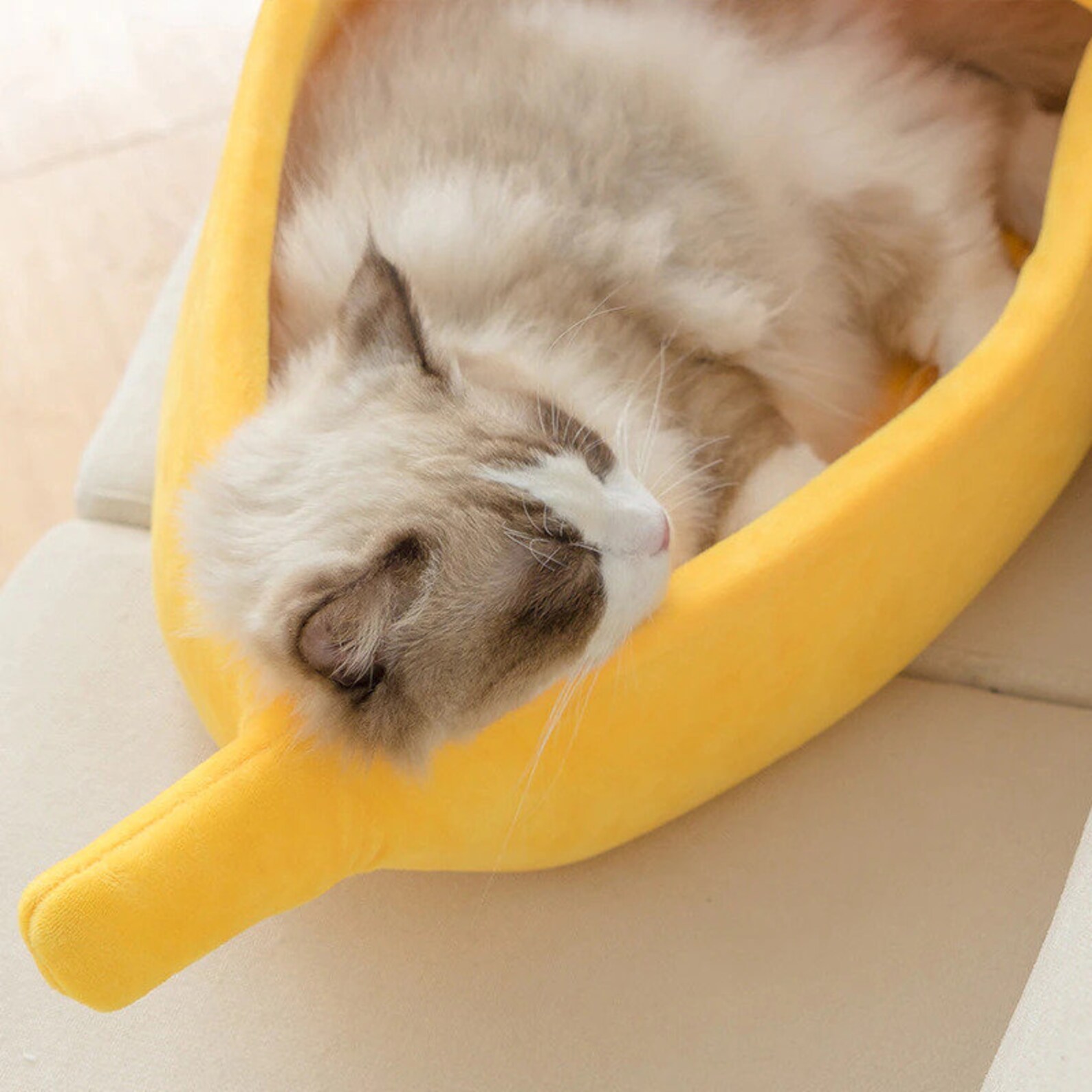 Cute Banana Cat Bed Funny Banana Cat House Cute Cozy Cat Mat Etsy
